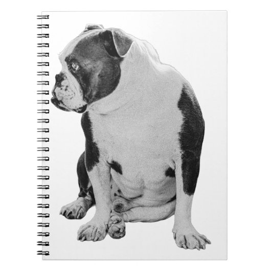 Carnet Plans With a Seated Pal (Devant)