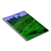 Carnet Plantation de thé (Côté Droit)