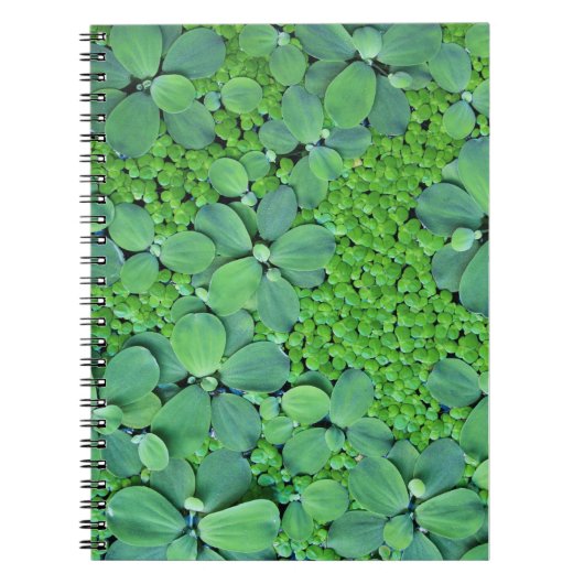 Carnet Plante (Devant)