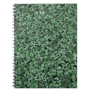 Carnet Plante à feuilles vertes