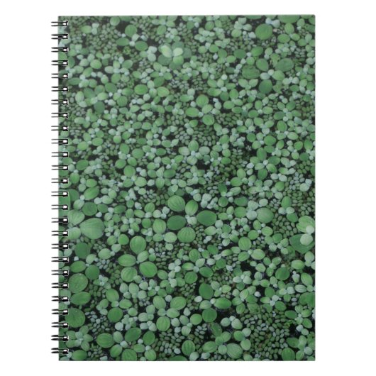 Carnet Plante à feuilles vertes (Devant)