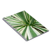 Carnet Plante Agave Vert et blanc rayé (Côté Droit)