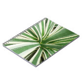 Carnet Plante Agave Vert et blanc rayé (Côté gauche)