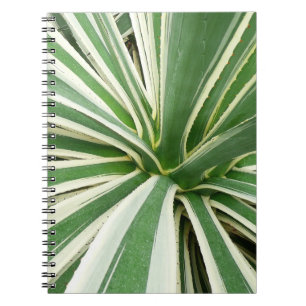 Carnet Plante Agave Vert et blanc rayé