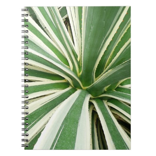 Carnet Plante Agave Vert et blanc rayé (Devant)