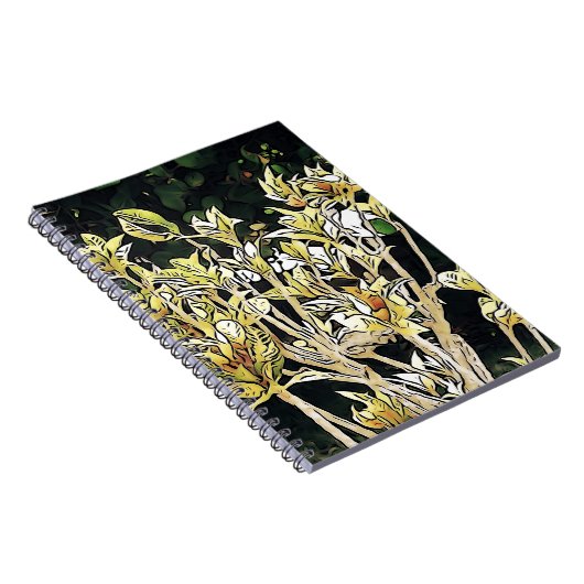 Carnet Plante cubain (Côté Droit)