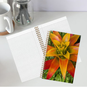 Carnet plante de bromélie Guzmania florale