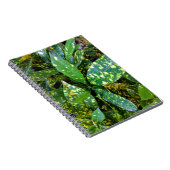 Carnet Plante de Croton (Côté Droit)