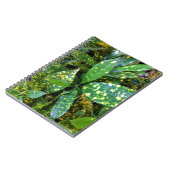 Carnet Plante de Croton (Côté gauche)