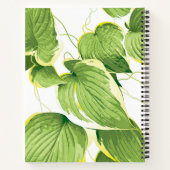 Carnet Plante de Ficus (Dos)