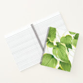 Carnet Plante de Ficus (Intérieur)