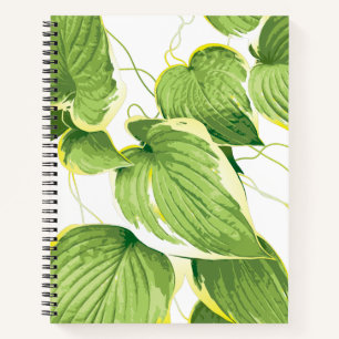 Carnet Plante de Ficus