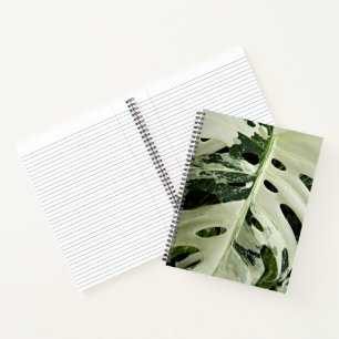 Carnet Plante de Monstera panachée Floral