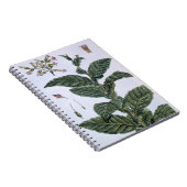 Carnet Plante de tabac, plat 7, de 'collection Precieuse (Côté Droit)