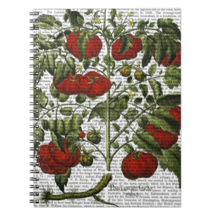 Carnet Plante de tomate