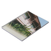 CARNET PLANTE EN FEUX VERT PRÈS DU BÂTIMENT (Côté gauche)