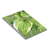 Carnet Plante Ficus 5 (Côté Droit)