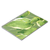 Carnet Plante Ficus 5 (Côté gauche)