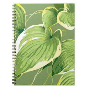 Carnet Plante Ficus 5