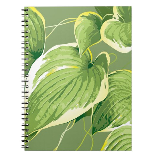 Carnet Plante Ficus 5 (Devant)