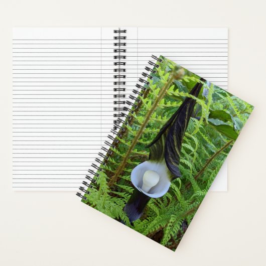 Carnet Plante forestière Jack-in-the-Pulpit (À l'intérieur)