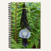 Carnet Plante forestière Jack-in-the-Pulpit (Recto)
