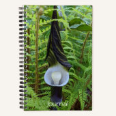Carnet Plante Jack-in-the-Pulpit de Woodland (Recto)
