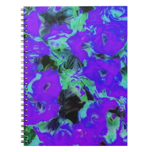 Carnet Plante kalanchoe violet brillant (Devant)