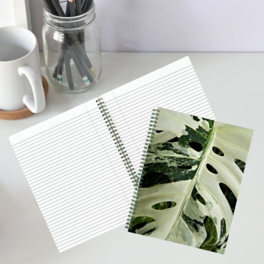 Carnet Plante Monstera panachée Floral