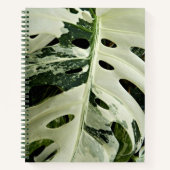 Carnet Plante Monstera panachée Floral (Devant)