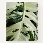 Carnet Plante Monstera panachée Floral (Dos)