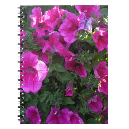 Carnet Plante rose (Devant)