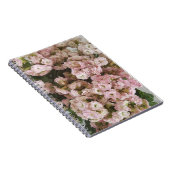 Carnet Plante rose Kalanchoe (Côté Droit)