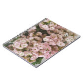 Carnet Plante rose Kalanchoe (Côté gauche)