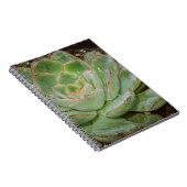 Carnet Plante Succulent (Côté Droit)
