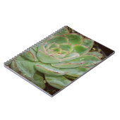 Carnet Plante Succulent (Côté gauche)