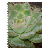 Carnet Plante Succulent (Devant)