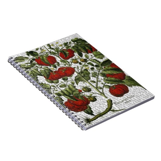 Carnet Plante tomate (Côté Droit)