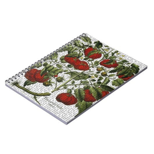 Carnet Plante tomate (Côté gauche)