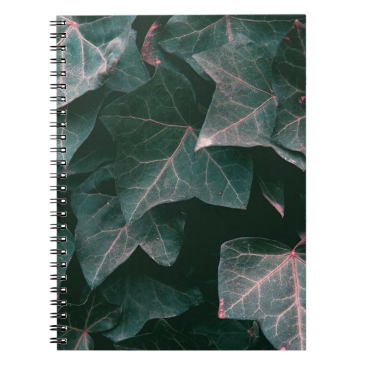 CARNET PLANTE VERT (Devant)