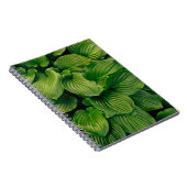 Carnet Plante vert (Côté Droit)