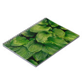 Carnet Plante vert (Côté gauche)