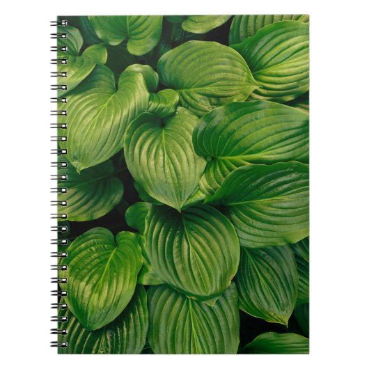 Carnet Plante vert (Devant)