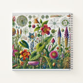 Carnet Plantes à fleurs et conception de diagrammes cellu (Dos)