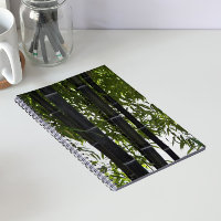 Plantes de bambou noir floral