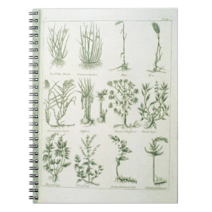Carnet Plantes du médecin anglais et élém. de Culpeper