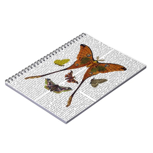 Carnet Plaque 2 (Côté gauche)