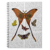 Carnet Plaque 2 (Devant)