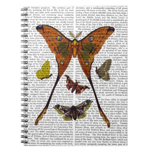 Carnet Plaque 2 (Devant)