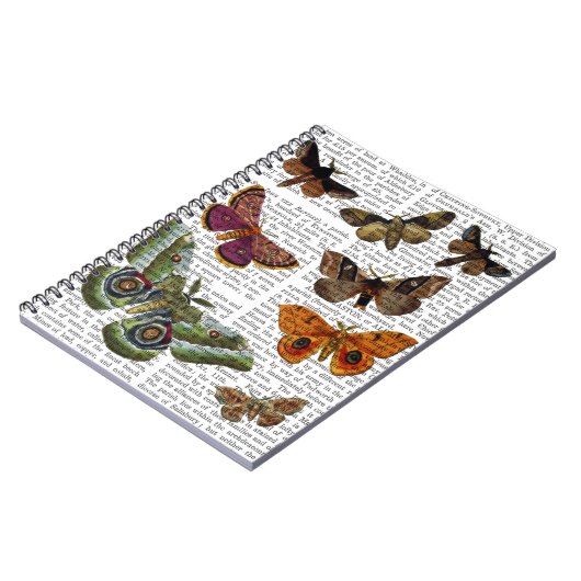 Carnet Plaque 3 (Côté gauche)